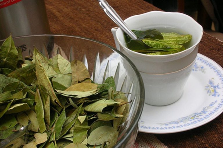12 Proven Health Benefits of Bay Leaf Tea | Health Tips