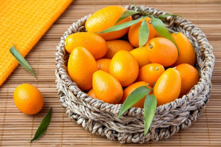 10 Proven Health Benefits of Kumquats | Health Tips