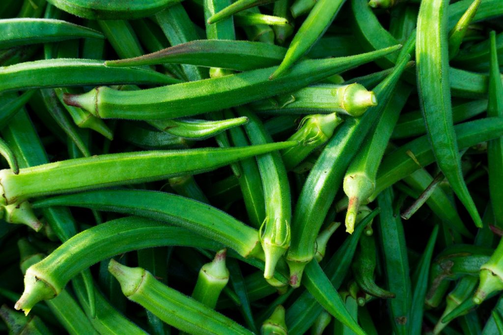 pictures of okra